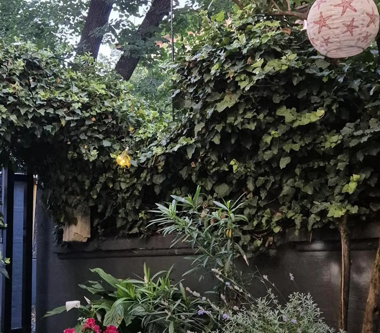Praga Apartment بوخارست رومانيا